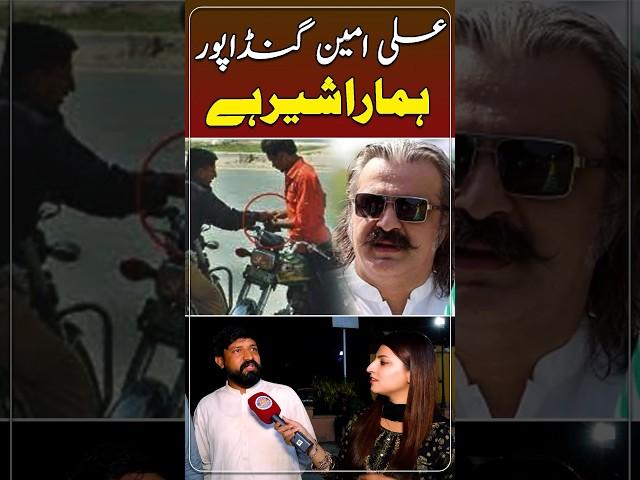 Ali Amin Gandapur Hamara Sher Hai #pti #cmkpk #aliamingandapur #ytshorts #rishwat #ptiofficial