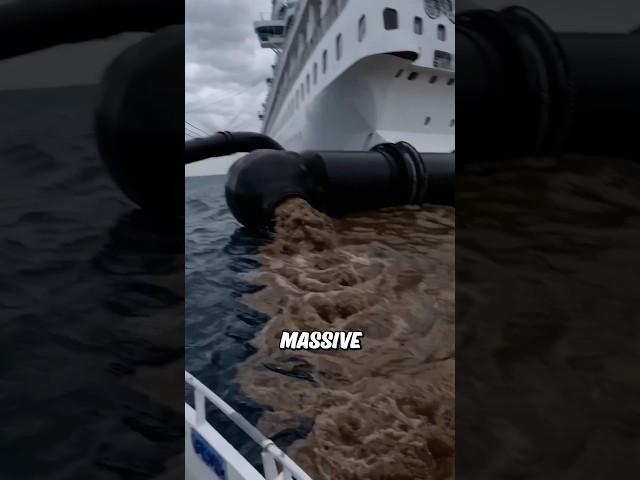 Cruise ships dump sewage into the ocean?