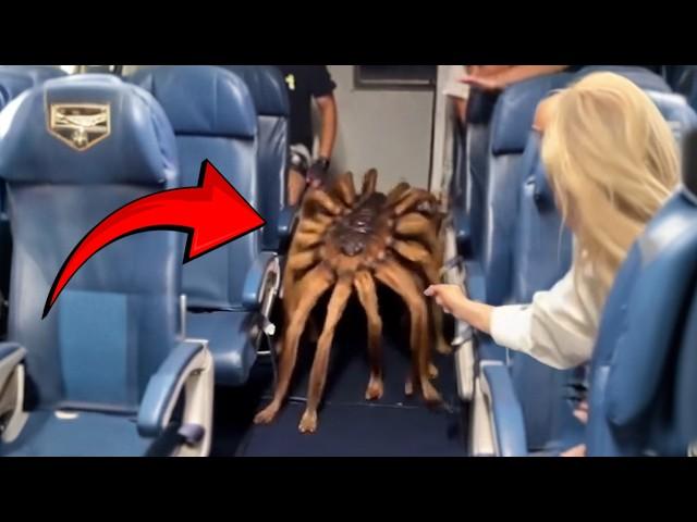 15 Close Calls With Creatures No One Was Supposed To See!