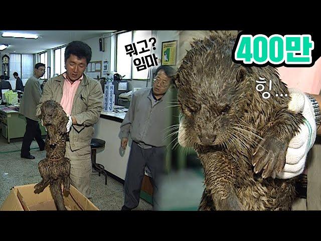 부산 아저씨들한테 잡힌 수달에게 생긴 일ㅋㅋ Cute Otter