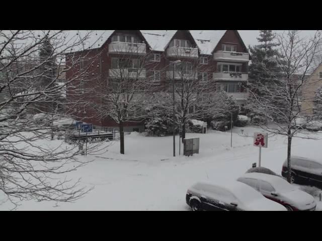 Schneesturm "Daisy" am 10.01.2010 in Lauenburg - Teil 03