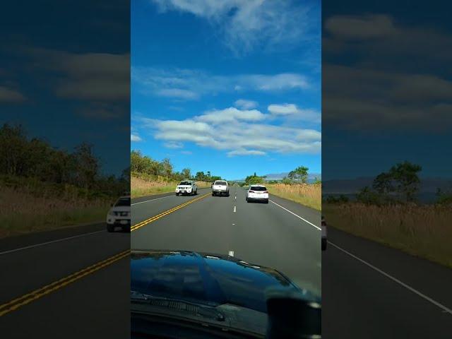 Live Drive To Mauna Loa Lava Road Crossing