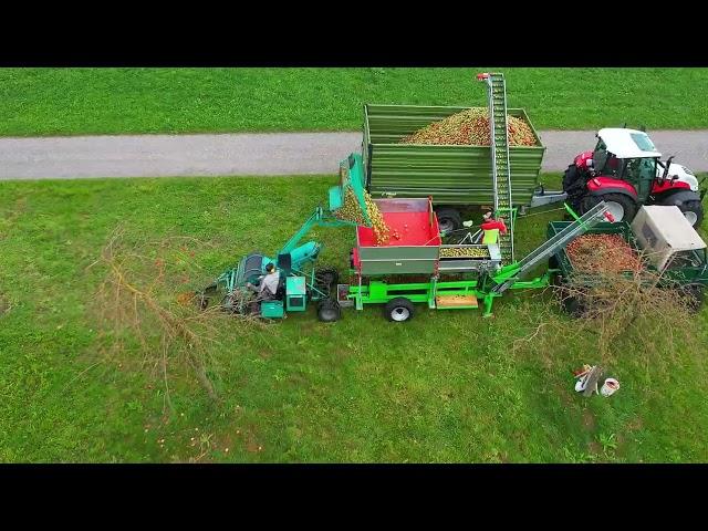 Eigenbau Obst-Sortieranlage Spezialausführung im Einsatz