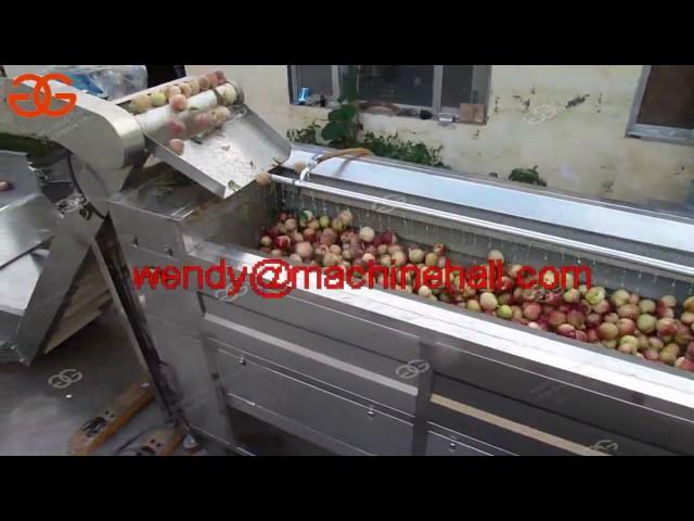 brush type fruit and vegetable washing machine/vegetable/fruit/peach washer