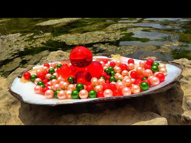 The girl discovered such a perfect pearl after opening the mussel, it's really amazing 