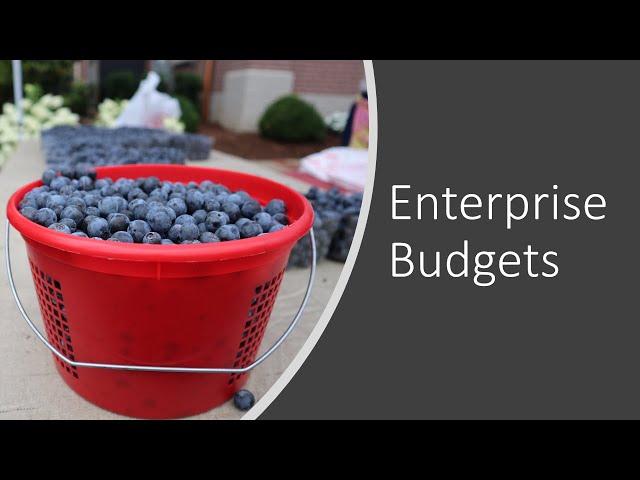 Enterprise Budgets and Operating Expenses