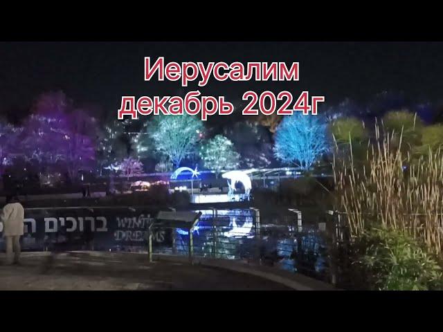 Иерусалим декабрь 2024г. Ботанический сад.