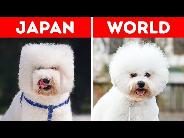 29 Things Japan Does Its Own Way