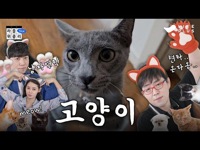 나만 없는 고양이 | 라플위클리 S4 ep.3 - 고양이 #궤도 #안현모 #이동진 [LIFEPLUS]