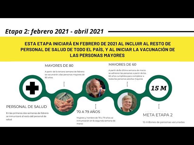 ESTRATEGIA DE VACUNACIÓN  ETAPAS Y LOGÍSTICA