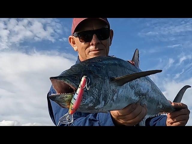 Brilliant Inshore Fishing Townsville - WAY TOO CLOSE!!