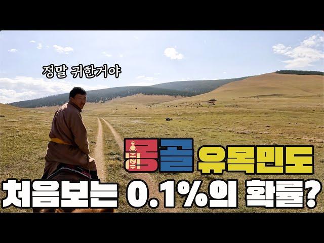 몽골 삼촌도 자랑하기 바쁜 0%의 확률을 깬 기적!? 몽골에서 말타고 스위스로 순간이동? 몽골자유여행