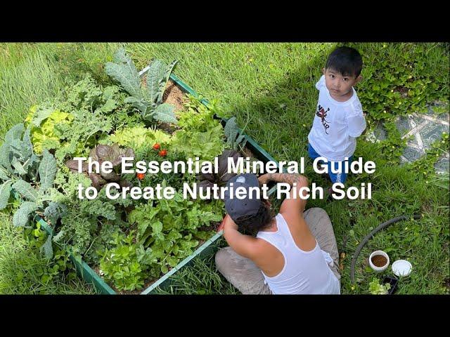 The Essential Mineral Guide to Create Nutrient Rich Soil