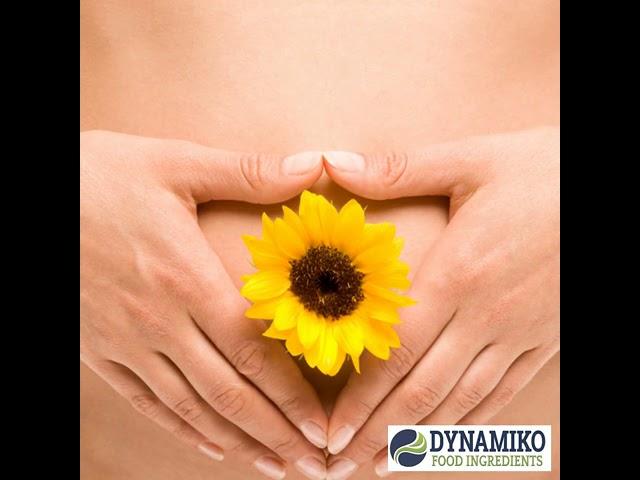 Lyofast SYAB 1 - Probiotic yoghurt culture