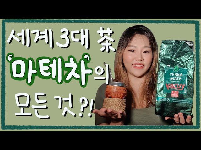 세계 3대 차 | 남미의 마테차 | 마테의 모든 것