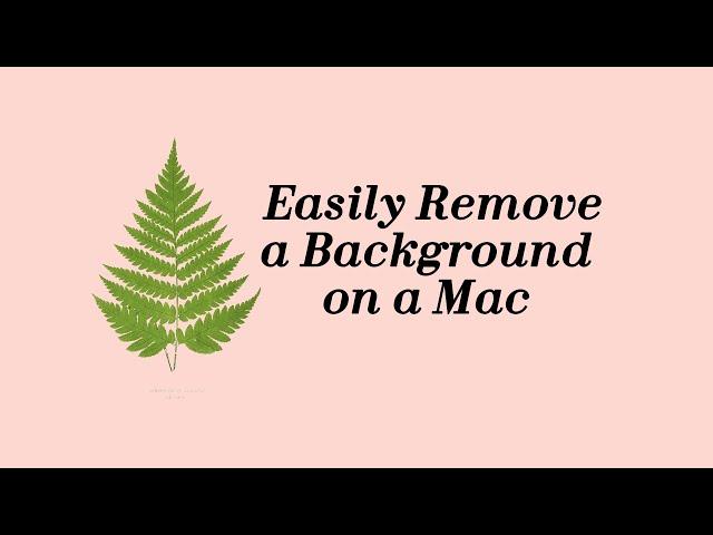 Easily Remove a Background on a Mac