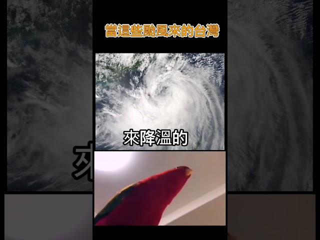 當這些颱風來到台灣... #颱風 #迷因 #memes #fypシ #fyp #shorts