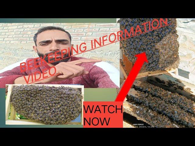 Beekeeping Information winter paking shifting bees #viralvideo @KongposhApiaries