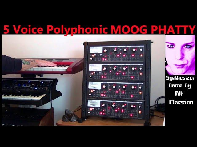 5 Voice Polyphonic Moog Phatty System Analog Synthesizer Rik Marston