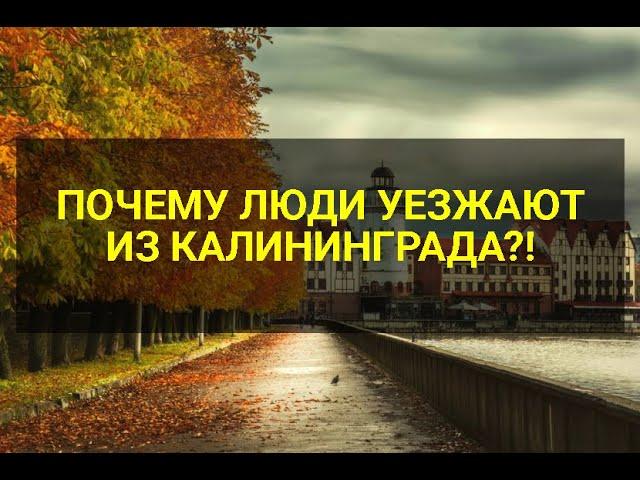 ЛЮДИ УЕЗЖАЮТ ИЗ КАЛИНИНГРАДА