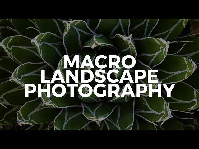 Behind the Scenes Macro Landscape Photography in Phoenix Arizona