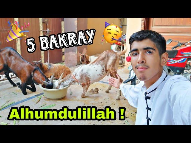 BAKRA EID VLOG 2023  QURBANI VLOG GOT EMOTIONAL  Ibrahim Asim | Bakray qurban krdiye Alhumdulillah