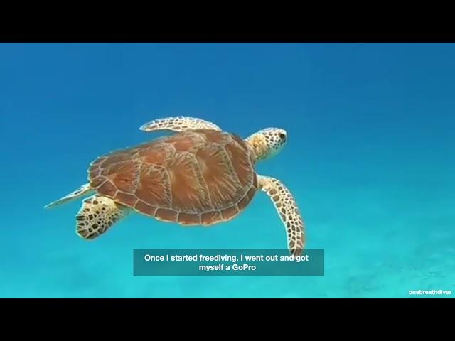 Freediver from Australia