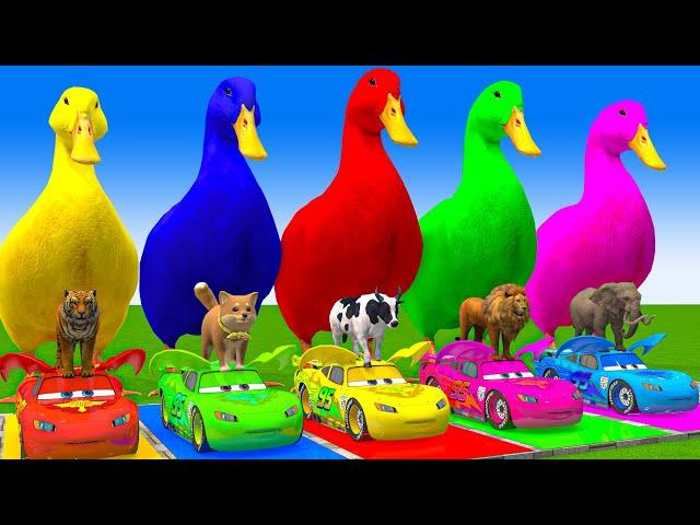 5 Giant Duck Cartoon,Cow,Elephant,Giraffe,Tiger,Lion, Paint Wild Animals Crossing Fountain Animation