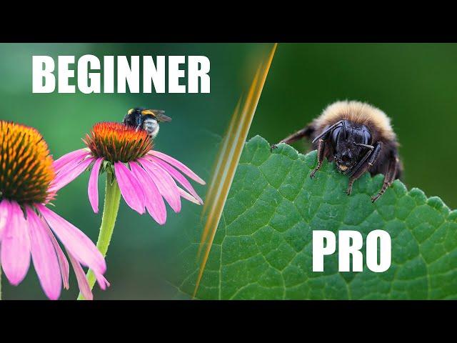 7 Insect Macro Photography Tips: Improve in 8 Minutes