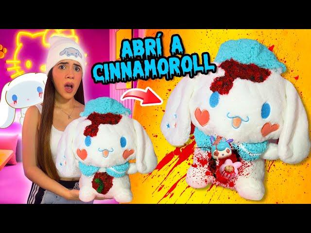 ABRÍ un PELUCHE de CINNAMOROLL y ME CONFESÓ algo ATERRADOR | Ani Cat