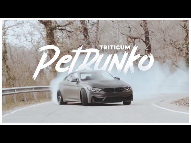 Triticum - Petrunko (Slow Remix)