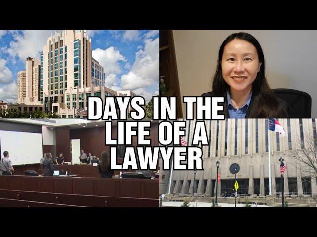 Days in the Life of a Family Lawyer. Attorney goes to Court