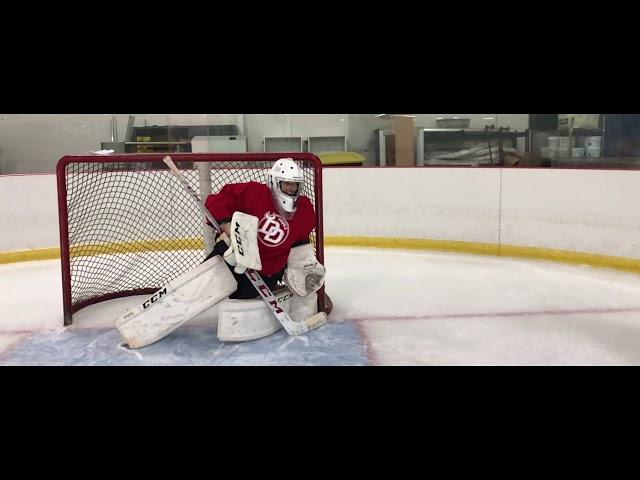 Angles - Hockey Goaltending