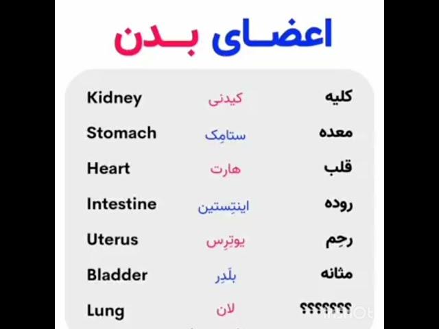 اعضای بدن سریع انسان بیاموزید!