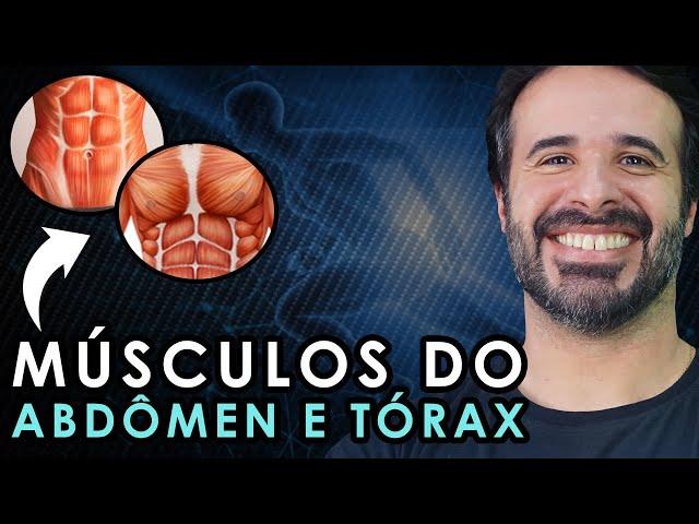 MÚSCULOS DO ABDÔMEN E TÓRAX CHEGA DE QUEBRAR A CABEÇA POR NADA