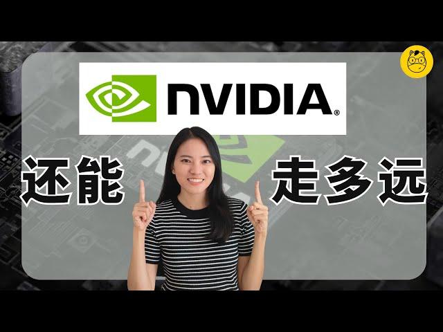 Nvidia 英伟达还能走多远？ | 公司风险 | 值得投资吗 PART 2