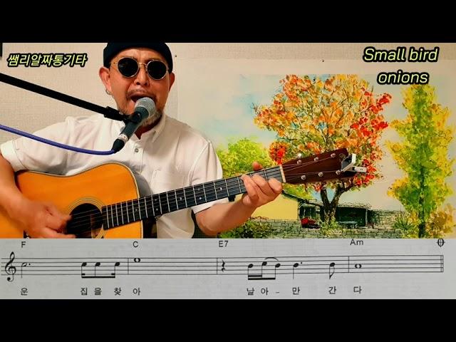 작은새-어니온스-(Am key Ssamlee covered)