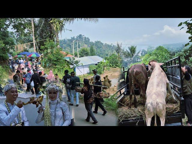Hidup di desa, Pernikahan yang di kurbankan, jajap pengantin kepelosok pedesaan