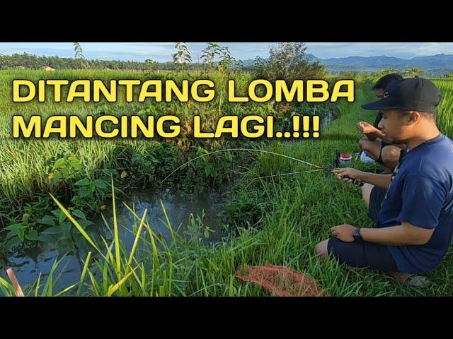 TANAGO GAME MICRO FISHING || MICRO FISHING INDONESIA @microfishingwader