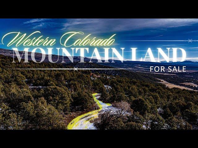 Mountain Property for Sale in Cedaredge, CO | 37.54 Wooded Acres Near Grand Mesa