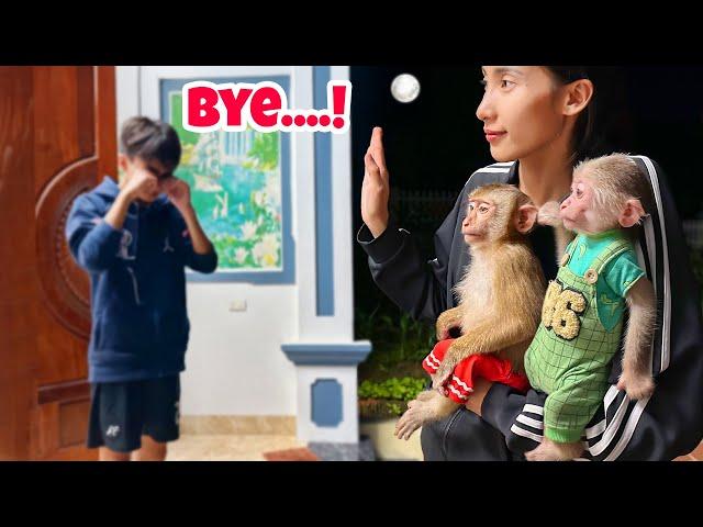 The video ending the story of the missing monkey PiPi has both joy and sadness