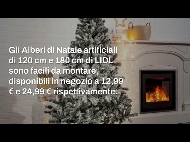 Da LIDL ci sono 3 Alberi di Natale da non perdere!