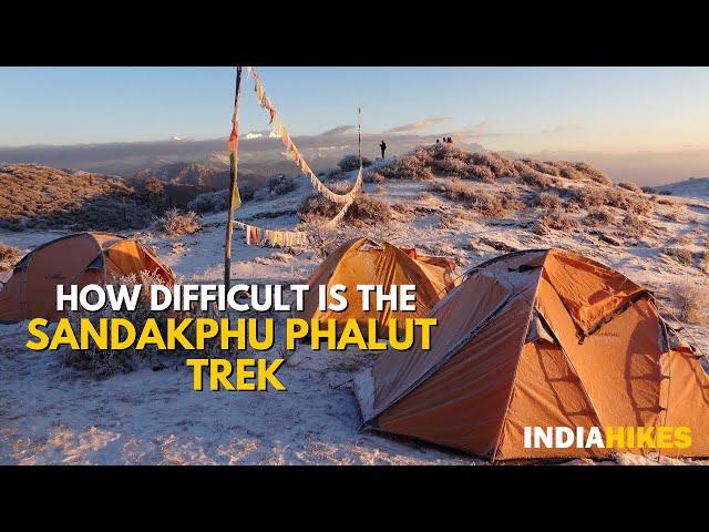 Sandakphu-Phalut Trek Guide: Is Sandakphu Trek Difficult? | Indiahikes