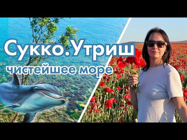 #анапа Сукко. Большой Утриш. Нашли чистое море!!! Пробирались на поле с маками!!!