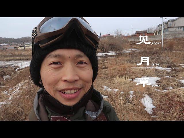 月见草：据说它的种子可以榨油，菜地里自然生长出来的可食用植物