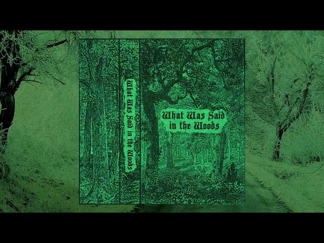 What Was Said In the Woods - S/T (2024)