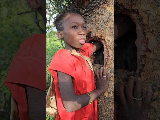 Hadza Youngest Hunter isn't Scared of Bees #shortsfeed #hadzabe