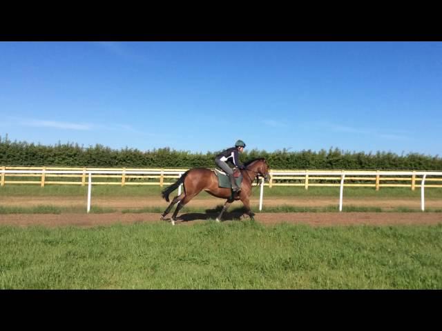 Philip Kirby Racing first lot 16th may 2016