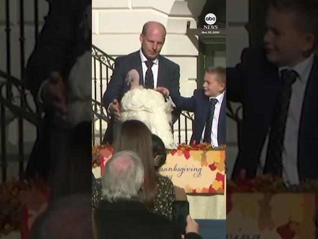 Biden pardons turkeys Peach and Blossom in annual White House tradition