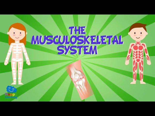 The Musculoskeletal System | Educational Videos for Kids